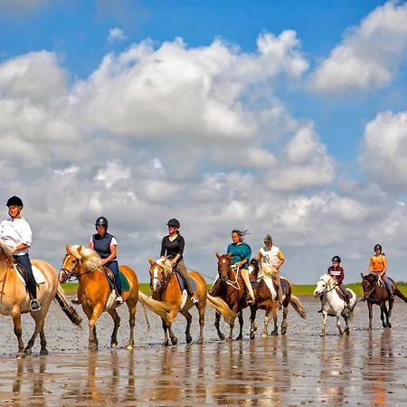 Gud Jard Nr 11 - Design-ferienhaus Mit Exklusiver Ausstattung